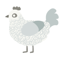 A white and silver chicken with a double-lace pattern