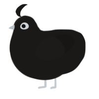 Twilight, a sable chicken