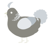 A ash and mist chicken with a neck-band pattern