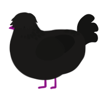 (unnamed), a sable and black chicken with a neck-speckle pattern
