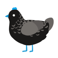 Night with clouds, a sable and grey chicken with a half-lace pattern