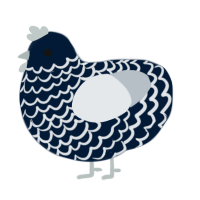 A tumblr and mist chicken with a lace pattern