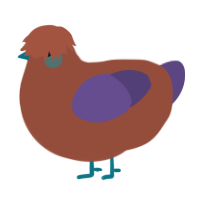 A russet and overcast chicken
