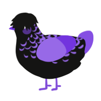 A black and blurple chicken with a half-lace pattern