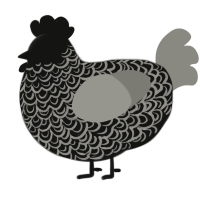 A black and ash chicken with a double-lace pattern