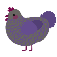 A grey and overcast chicken with a lace pattern