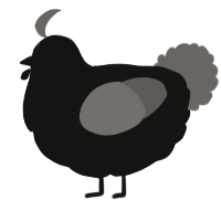 A black and grey chicken