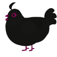 A black chicken with a head pattern