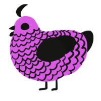 Getting Enough Sleep, a orchid and black chicken with a lace pattern
