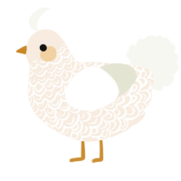 Charity, a cream and white chicken with a double-lace pattern