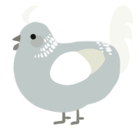 A silver and white chicken with a neck-band pattern