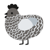 A grey and mist chicken with a lace pattern