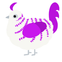A white and amethyst chicken with a half-bar pattern