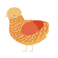 A honey and vermilion chicken with a lace pattern