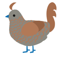 A ash and brown chicken with a lace pattern