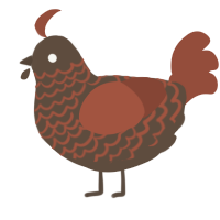 Ona, a bark and russet chicken with a lace pattern