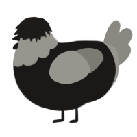 A sable and ash chicken with a head pattern