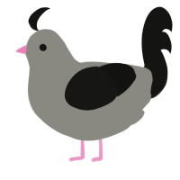 Chicken, a ash and black chicken