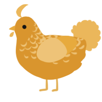A orange and honey chicken with a half-lace pattern