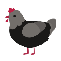 A sable and grey chicken with a head pattern