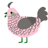 A rose and grey chicken with a lace pattern