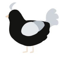 Appeal, a black and mist chicken