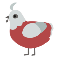 A red and silver chicken with a head pattern