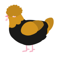 A sable and ochre chicken with a head pattern