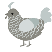 A ash and silver chicken with a lace pattern