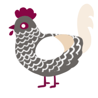 A grey and cream chicken with a lace pattern
