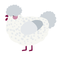 A white and mist chicken with a speckle pattern