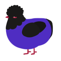 A indigo and sable chicken with a head pattern