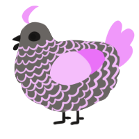 A grey and lavender chicken with a lace pattern