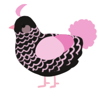 A sable and pink chicken with a lace pattern