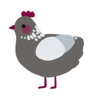 A grey and mist chicken with a neck-speckle pattern