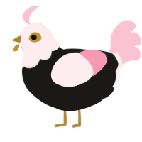pink addison, a sable and rose chicken with a head pattern