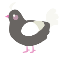 Envi, a grey and white chicken