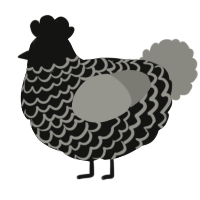 A black and ash chicken with a lace pattern