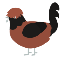 (unnamed), a russet and sable chicken with a head pattern