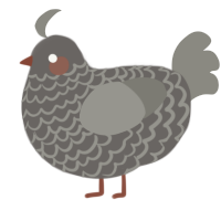 A grey and ash chicken with a lace pattern
