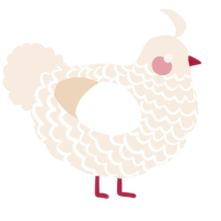 A cream chicken with a lace pattern