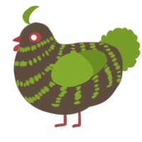 A bark and chartreuse chicken with a bar pattern