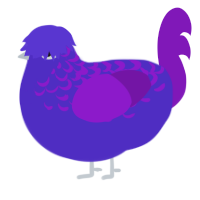 (unnamed), a indigo and violet chicken with a half-lace pattern