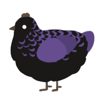 A sable and overcast chicken with a half-lace pattern
