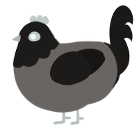 A grey and sable chicken with a head pattern