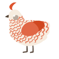 A cream and vermilion chicken with a lace pattern