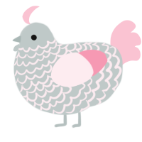 sylph, a silver and rose chicken with a lace pattern