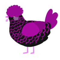 A black and plum chicken with a lace pattern