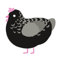 Rosy Starling, a sable and ash chicken with a half-lace pattern