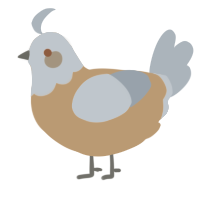 A beige and mist chicken with a head pattern